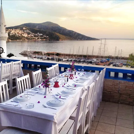 Hotell Zinbad 3*