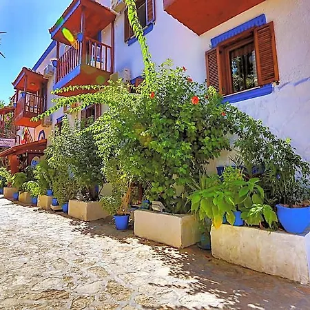 Zinbad 3* Калкан