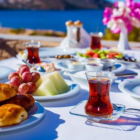 Hotel Zinbad 3*