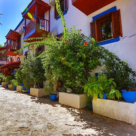 Zinbad Hotel 3*