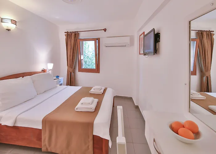 Zinbad 3*